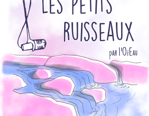 Les petits ruisseaux, épisode 1 - le Plan pluie du Grand Reims