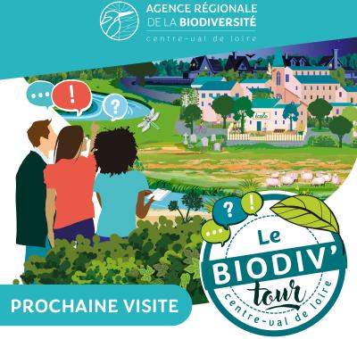 Biodiv'Tour : visite autour de l'éclairage et la biodiversité à Bourges (18)