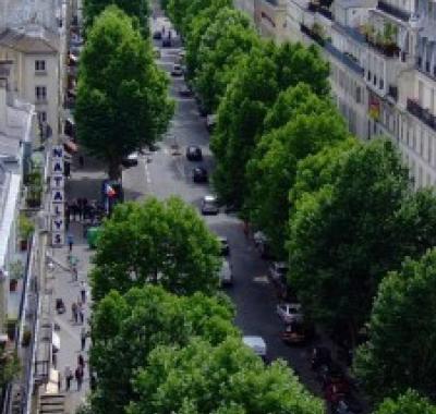 COOLTREES : le rafraîchissement des villes par les arbres - quantification et modélisation pour le développement des villes durables | Plante et Cité
