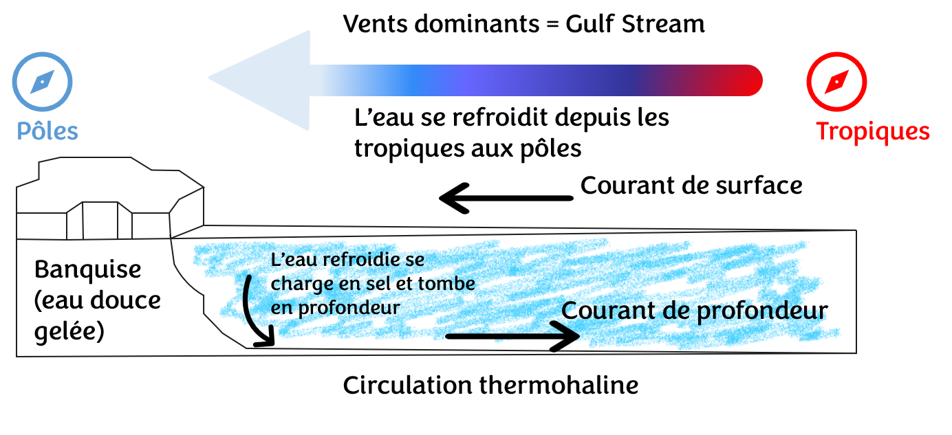 "schématisation de la circulation de l'eau des tropiques aux pôles ©ARB, L.R-P"