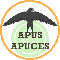 APUS APUCES
