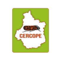 Coordination Entomologique de la Région Centre pour l’Organisation de Projets d’Etudes (CERCOPE)