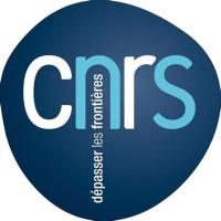 Centre National de la Recherche Scientifique (CNRS)