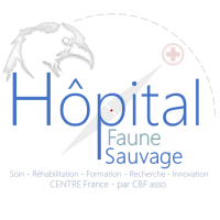 HOPITAL FAUNE SAUVAGE Mornay-Berry (18)