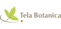 Tela Botanica