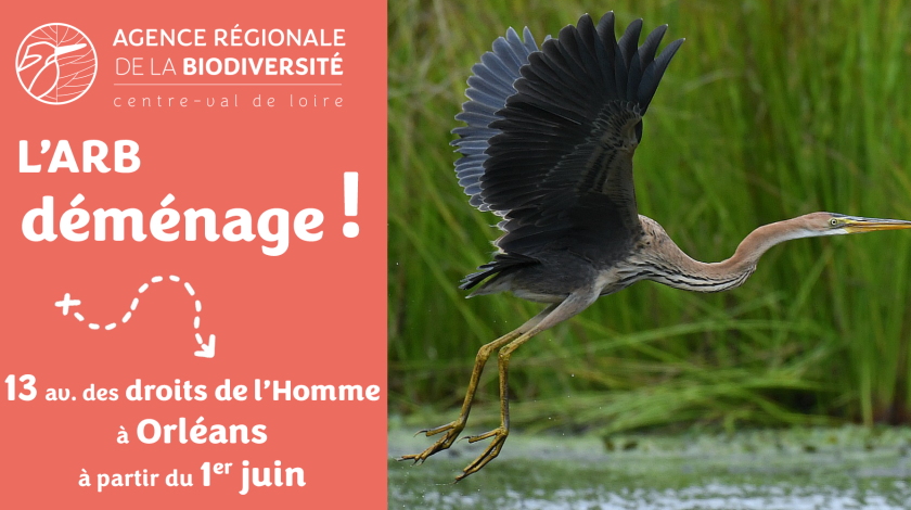 L'Agence déménage !