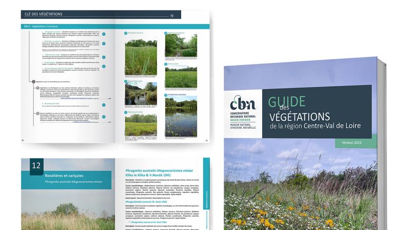 Publication en ligne du guide des végétations de Centre-Val de Loire