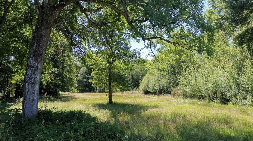 Nouvelle infographie sur la forêt en Centre-Val de Loire