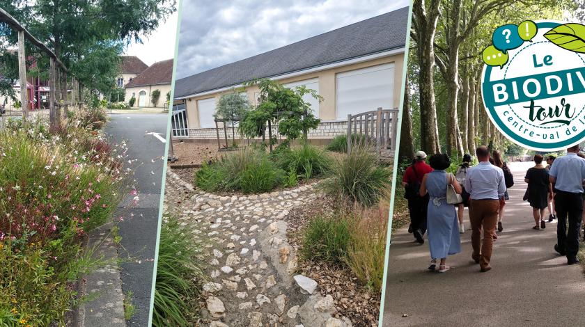 Santé et biodiversité : 3 visites pour les collectivités !