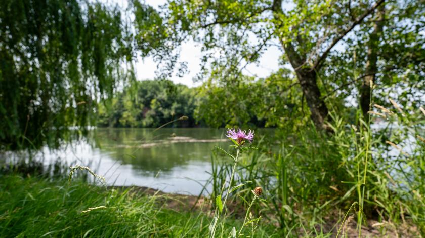 Deux collectivités du Centre-Val de Loire lauréates du concours Capitale Française de la Biodiversité 2025