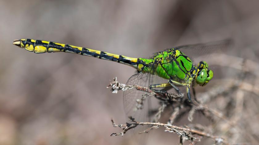 Connaître pour mieux protéger : l'essentiel en 3 minutes !