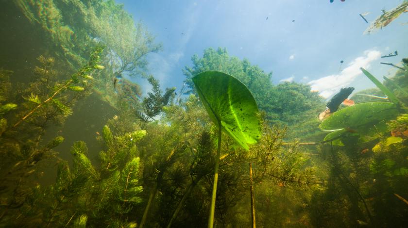 Micropollutions, macro-problèmes, solutions à grande échelle !