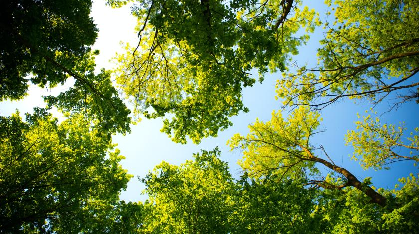 Climat et biodiversité