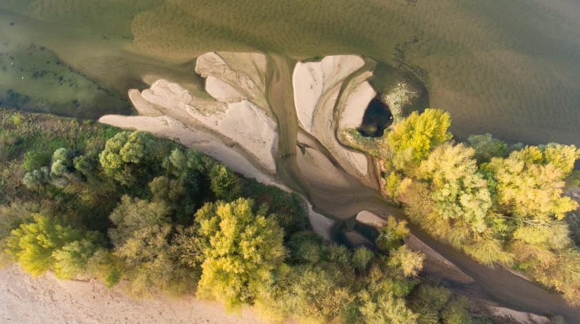 Crues et biodiversité