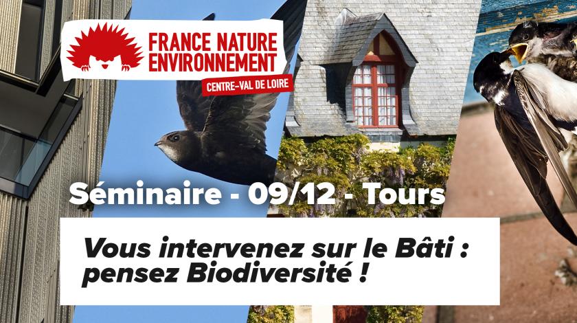 Séminaire - VOUS INTERVENEZ SUR LE BÂTI : PENSEZ BIODIVERSITÉ ! | FNE Centre-Val de Loire