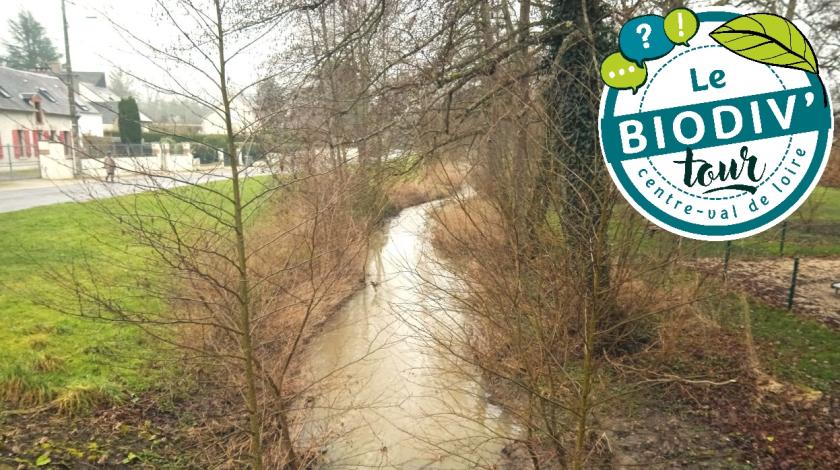 Biodiv'tour : visite autour de la gestion de l'eau dans la ville à Boigny-sur-Bionne (45)