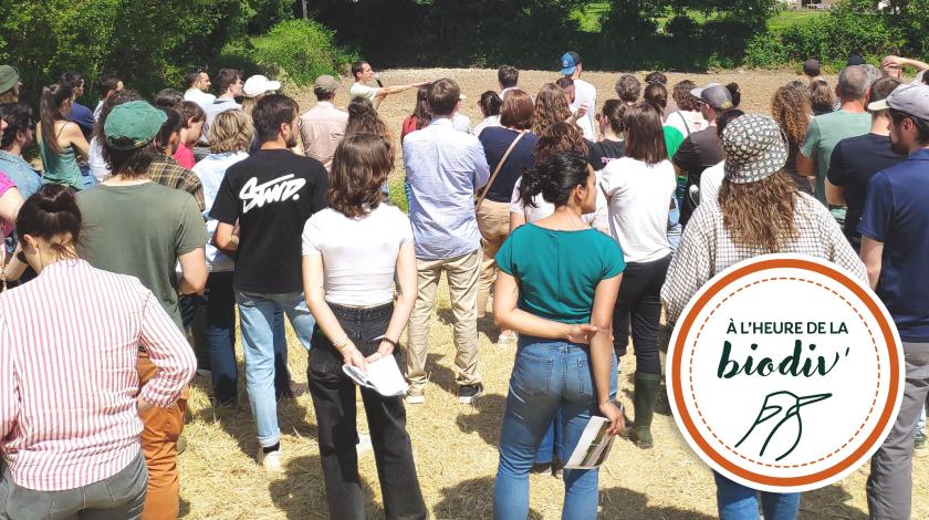 [À l'heure de la biodiv' !] Parcours de l'eau 4/4 : Approche régionale des SfN liées à l'eau