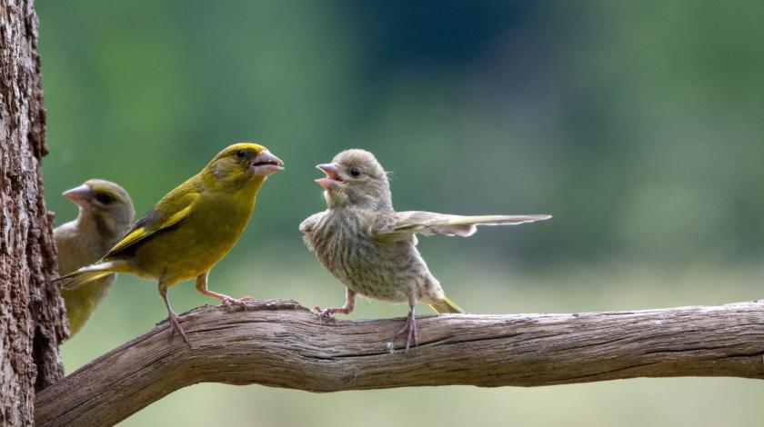 Réunion publique régionale « La nature près de chez vous »