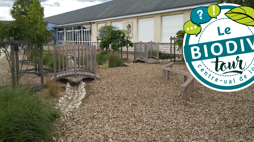 Biodiv'tour : visite autour d'une cour d'école désimperméabilisée à Saint-Ouen (41)