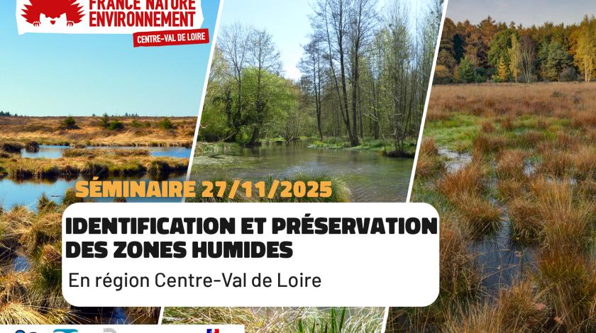 Identification et préservation des zones humides en Centre-Val de Loire | FNE Centre-Val de Loire
