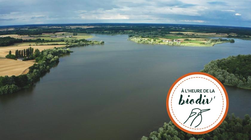 [À l'heure de la biodiv' !] Parcours ABC-IBC 3/4 : De la connaissance à la protection du patrimoine naturel