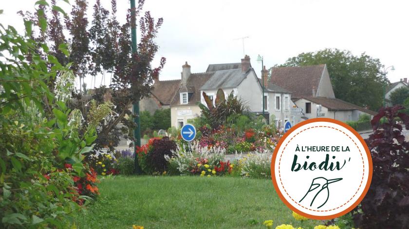 [À l'heure de la biodiv' !] Parcours ABC-IBC 4/4 : Faire vivre les plans d'action