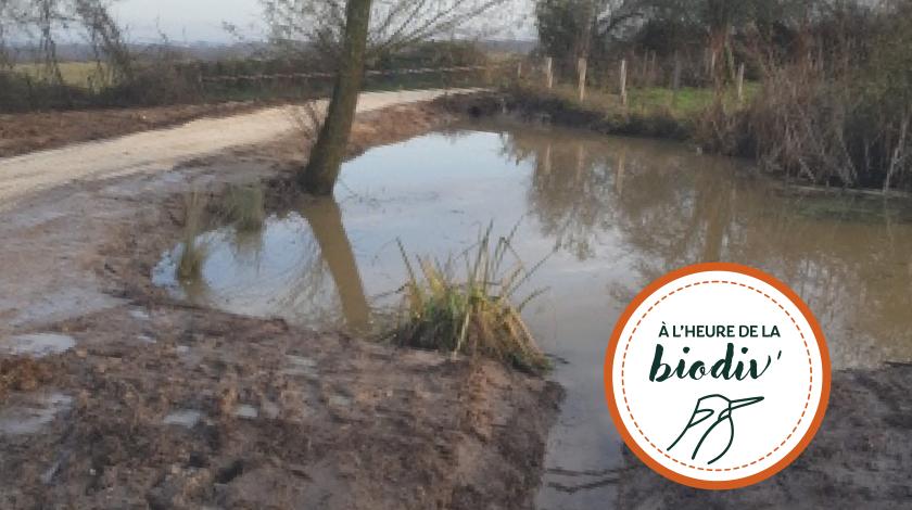 [À l'heure de la biodiv' !] Parcours ABC-IBC 4/4 : Faire vivre les plans d'action