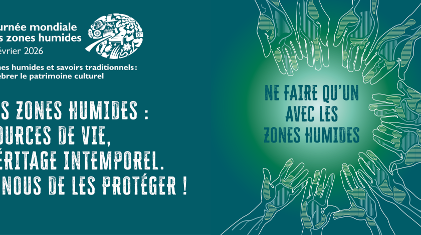[Mois des zones humides 2026] Animations en région