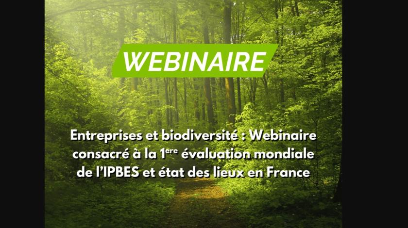 Rapport "Entreprises & Biodiversité" de l'IPBES