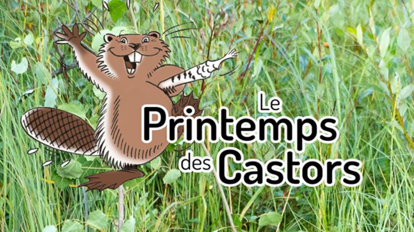 Le Printemps des Castors 