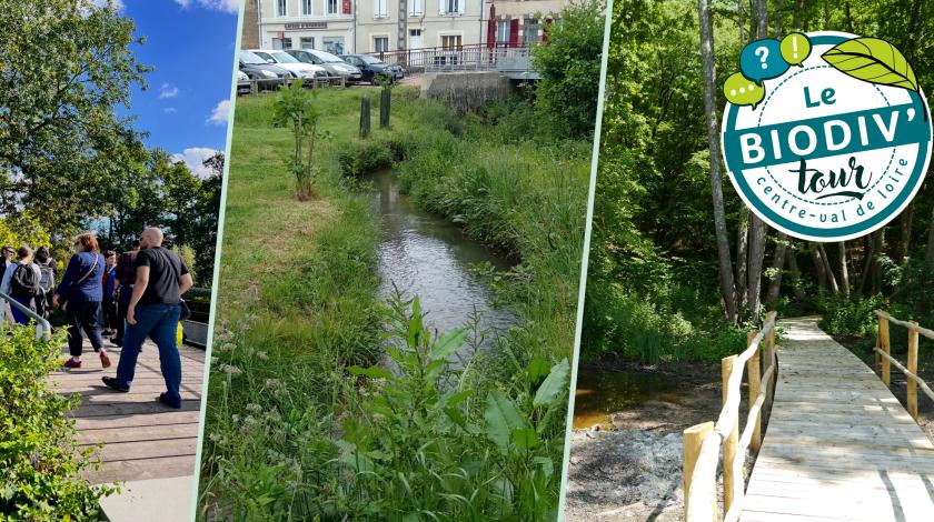 Cycle réduction du risque inondation - visite à Saint-Martin d'Auxigny (18)
