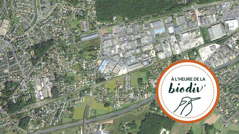 [À l'heure de la biodiv' !] Parcours Mobiliser les entreprises 4/4 : Zones d'activités : concilier développement économique et biodiversité