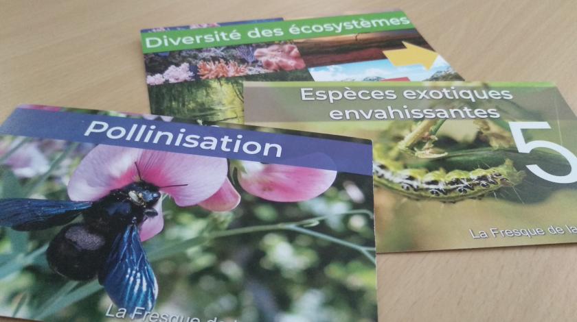 Participer à une des Fresques en lien avec la biodiversité