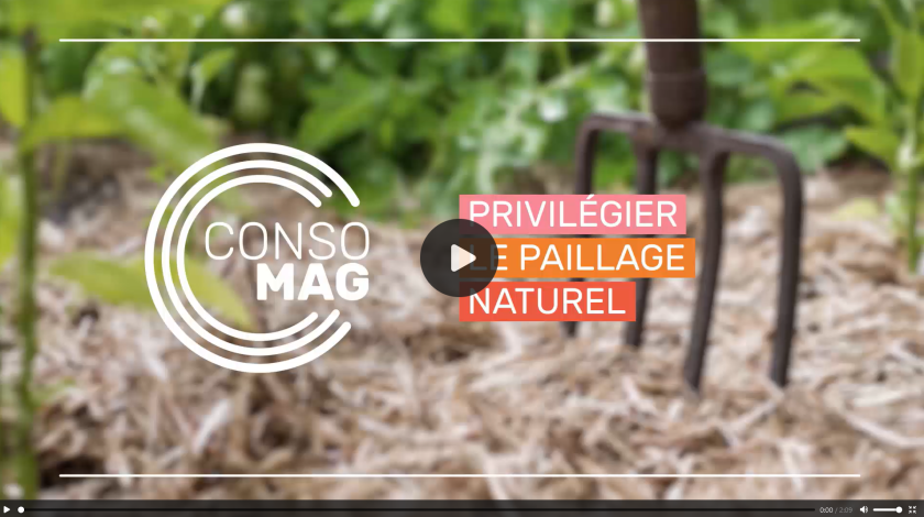 Jardiner tout en respectant la biodiversité : mode d’emploi | Institut national de la consommation / OFB