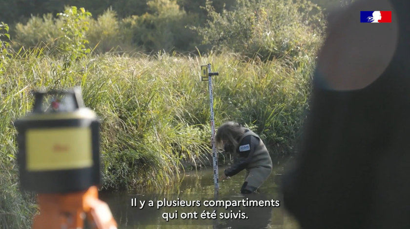 Les suivis écologiques des travaux de restauration du ruisseau de l’Échandon