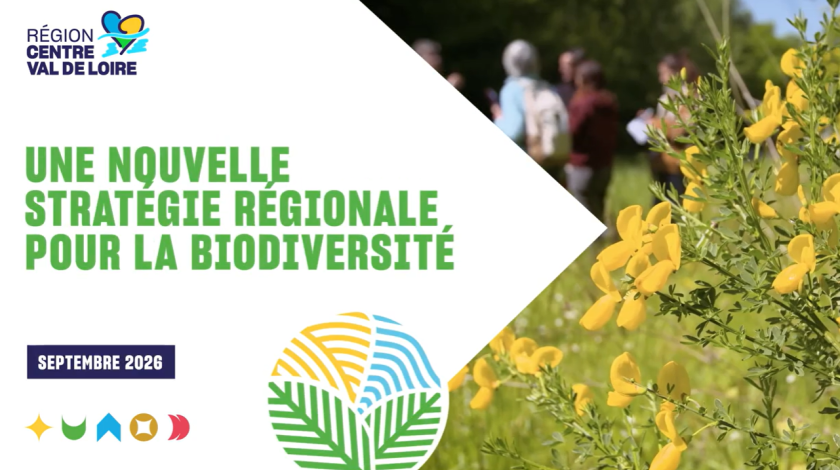 Biodiversité en Centre-Val de Loire : une stratégie pour protéger le vivant d’ici 2035
