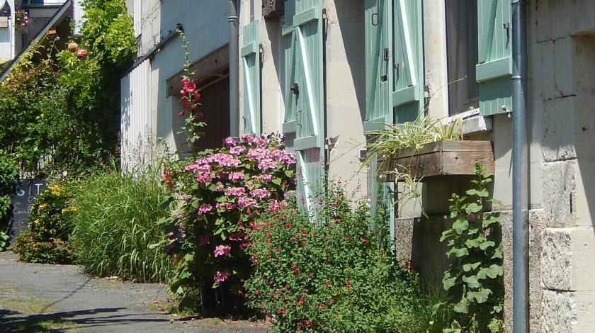 Des solutions pour rafraichir villages et villes