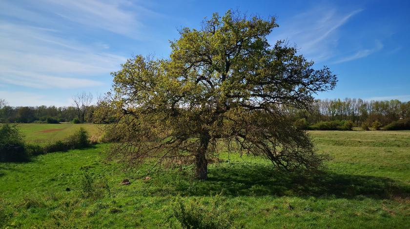 Indicateur | Évolution de l'occupation des sols et des prairies