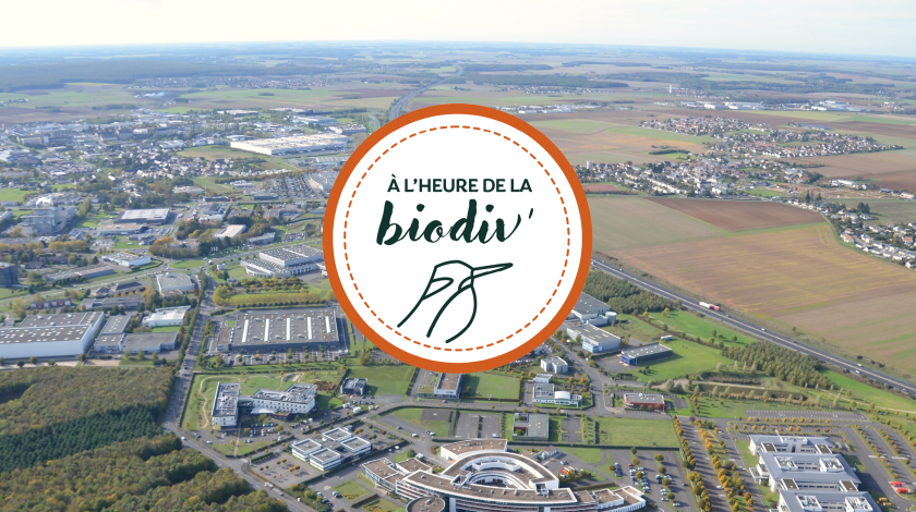 À l'heure de la biodiv' - Webinaires "Mobiliser les entreprises"