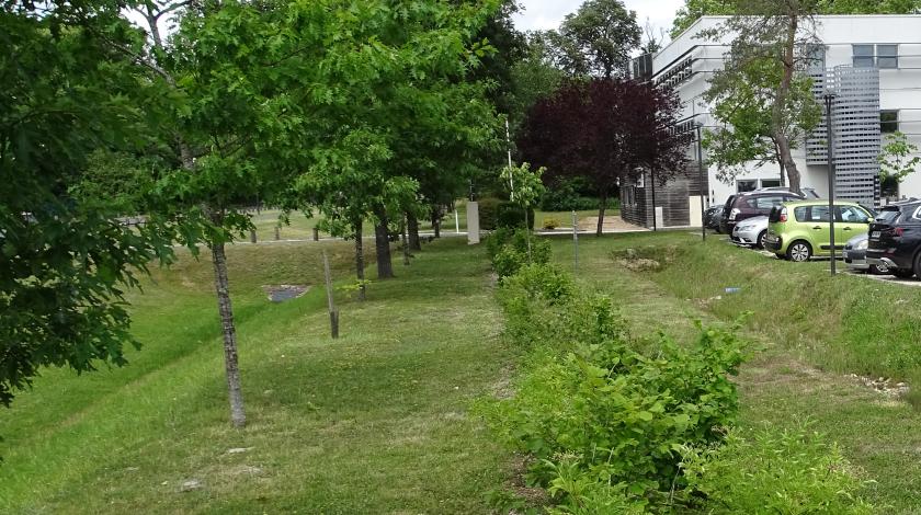 L’IPBES adopte le premier rapport mondial sur les liens entre entreprises et biodiversité