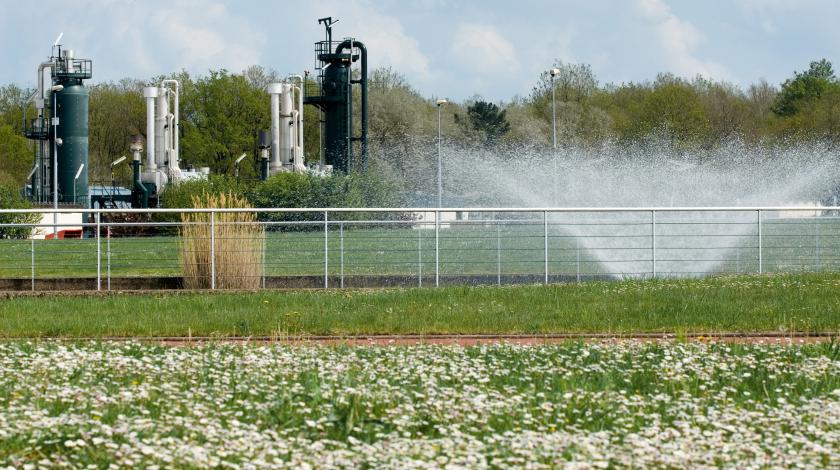 Une biodiversité surprenante sur les sites industriels de Storengy