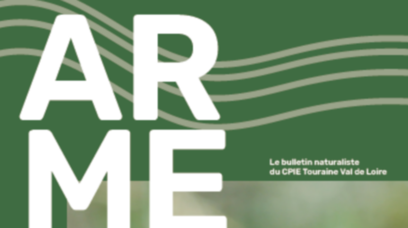 Bulletin naturaliste | CPIE Touraine-Val de Loire