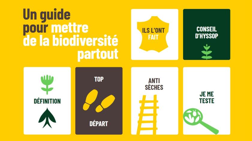 Kit biodiversité entreprises : un guide pour mettre la biodiversité partout 