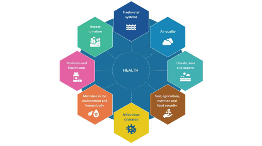 Cahier "Une seule santé : l'humain inséparable de la biodiversité"