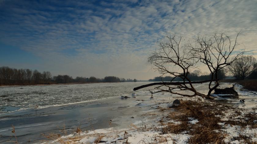 L'Observatoire à l'horizon 2026