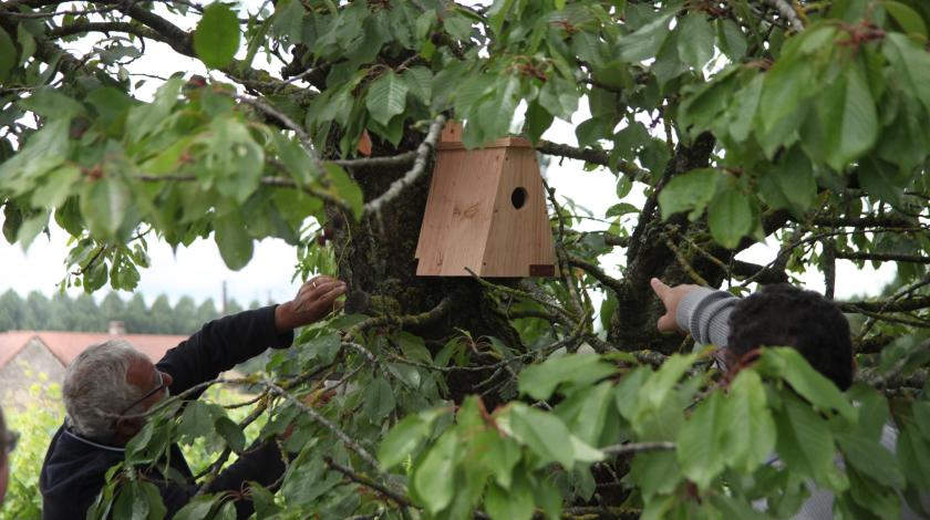 Étude et amélioration de la biodiversité dans le vignoble de l'AOC Chinon