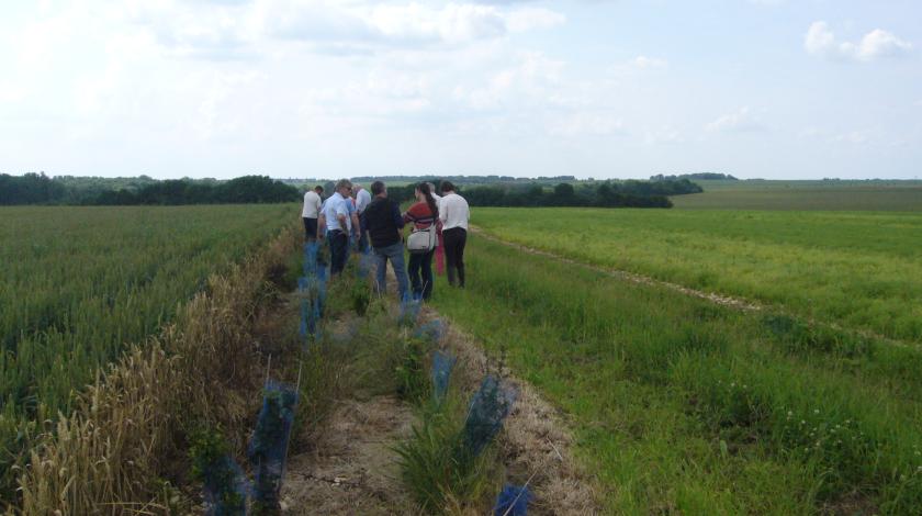 "Des bouchures pour demain" le Pays Castelroussin Val de l'Indre organise une opération collective de plantation de haies