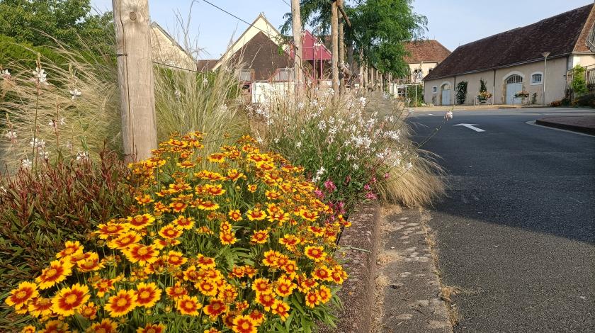 Création d'un îlot de fraicheur aux abords du centre culturel à Buzançais (36)