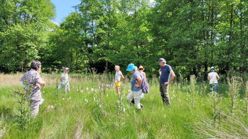 Des prairies naturelles choyées par des éleveur·se·s et des botanistes