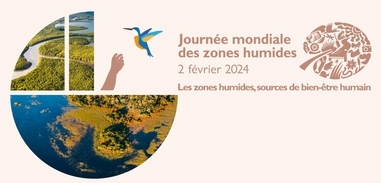 [Mois des zones humides 2024] Animations en région